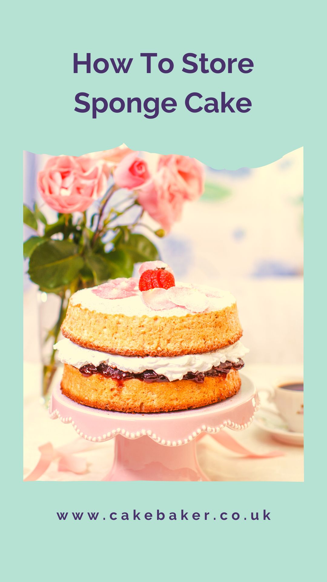 How To Store Sponge Cake Cake Baker